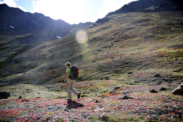 Backpacking Alaska Chugach Mountains - AURF04308