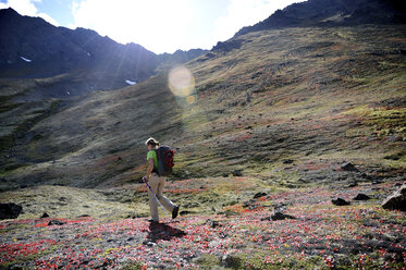 Rucksacktourismus Alaska Chugach Mountains - AURF04308