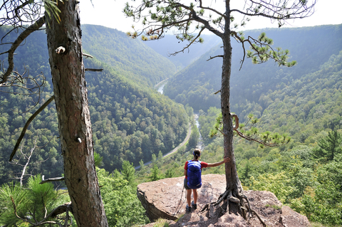 Rucksacktour auf dem West Rim Trail in Pennsylvania, lizenzfreies Stockfoto