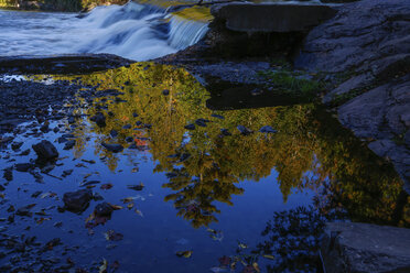 Landscape view with forest river, Yosemite National Park