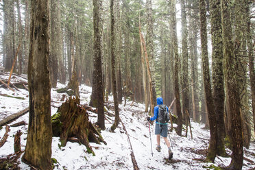 Eine Wanderin wandert auf einem schneebedeckten Weg in der Nähe von Seattle, WA, durch den Wald. - AURF04417