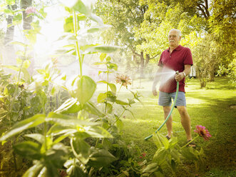 Ein Mann mittleren Alters besprüht die Pflanzen in seinem Garten mit Wasser. - AURF04467