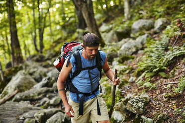 A Man Hikes Along The Appalachian Trail - AURF04484