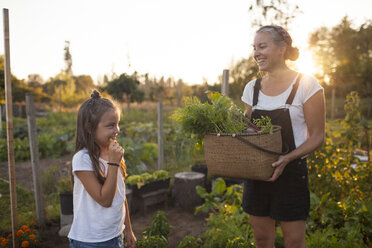 Eine Mutter und eine Tochter teilen einen lustigen Moment bei der Ernte von Gemüse im Garten - AURF04560