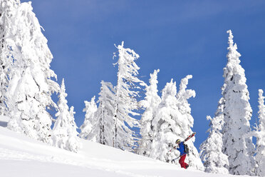 Ein Skifahrer beim Wandern am Lodi Ridge im Whitefish Mountain Resort in Whitefish, Montana - AURF04568