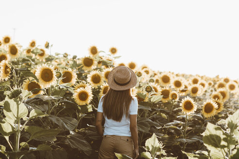 Rückenansicht einer jungen Frau, die in einem Sonnenblumenfeld steht - OCAF00354