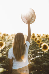 Rückenansicht einer jungen Frau mit Strohhut, die in einem Sonnenblumenfeld steht - OCAF00356
