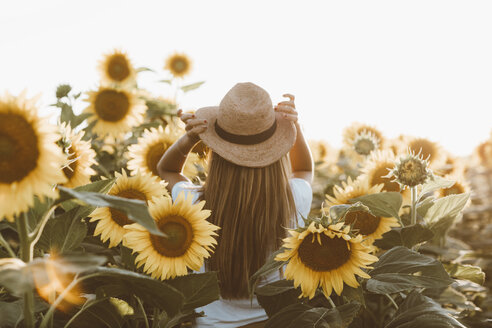 Rückenansicht einer jungen Frau, die in einem Sonnenblumenfeld steht - OCAF00364