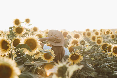 Rückenansicht einer jungen Frau, die in einem Sonnenblumenfeld steht - OCAF00365