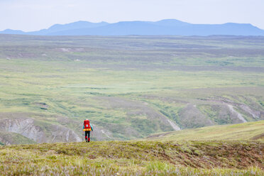 A Woman Is Hiking In The Delta Mountains, Alaska Range, Alaska, Usa - AURF04669