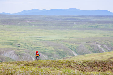 Eine Frau wandert in den Delta Mountains, Alaska Range, Alaska, Usa - AURF04669