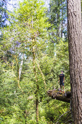 A young man stands on the edge of a log in a lush forest of Oregon. - AURF04670