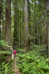 Ein junger Mann läuft entlang eines umgestürzten Baumstamms im Redwoods National Park, CA. - AURF04671