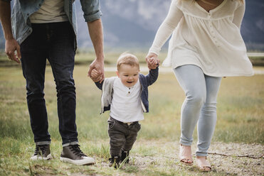 Eltern gehen mit ihrem kleinen Sohn im Feld spazieren - CAIF22025