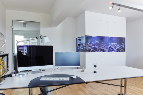 Interieur eines modernen Büros mit Aquarium, lizenzfreies Stockfoto