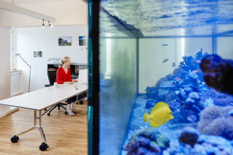 Junge Frau arbeitet am Schreibtisch im Büro mit einem Aquarium, lizenzfreies Stockfoto