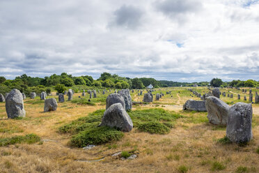 Neolithische Megalithen in Alignements de Carnac, Bretagne, Frankreich - AURF04745