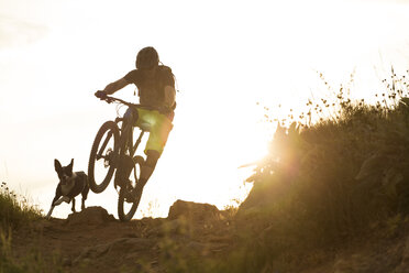 Mountainbiker auf dem Fahrrad, Hund läuft mit, Bonneville Shoreline Trail, Salt Lake City, Utah, USA - AURF04750
