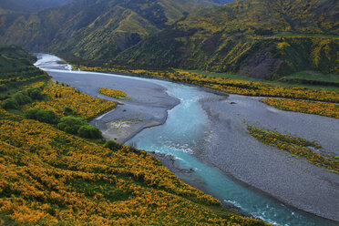 Wildblumen am Fluss, Neuseeland - AURF04771