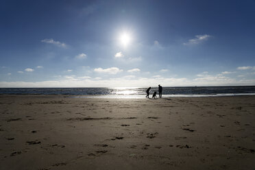 Junges Paar geht mit seinem Hund am Strand spazieren - HHLMF00432