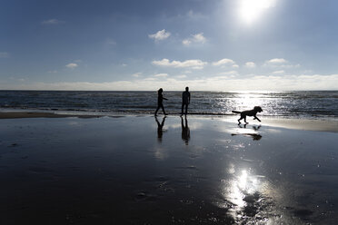 Junges Paar geht mit seinem Hund am Strand spazieren - HHLMF00433