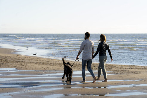 Young couple walking with their dog on the beach - HHLMF00446