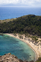 Strand mit Palmen, Bourg de Saintes, Isles des Saintes, Guadeloupe - AURF04781