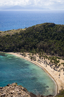 Strand mit Palmen, Bourg de Saintes, Isles des Saintes, Guadeloupe - AURF04781