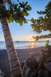 Beach with palm trees, Black Sand Beach, Basse Terre, Guadeloupe - AURF04782