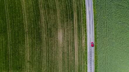 Auto inmitten von Feldern, Genolier, Kanton Waadt, Schweiz - AURF04810