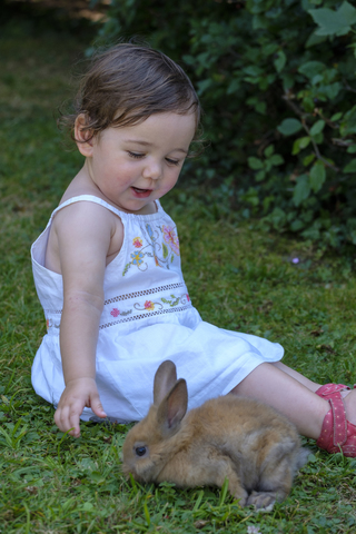 Porträt eines zufriedenen kleinen Mädchens, das mit einem jungen Kaninchen auf einer Wiese spielt, lizenzfreies Stockfoto