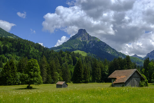 Deutschland, Bayern, Schwaben, Allgäu, Tannheimer Alpen, Wiese im Achental bei Pfronten, mit Aggensteingebirge - LBF02063