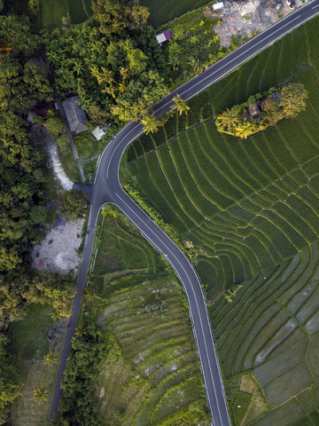 Indonesien, Bali, Luftaufnahme von Reisfeldern, lizenzfreies Stockfoto