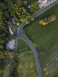 Indonesia, Bali, Aerial view of rice fields - KNTF01518