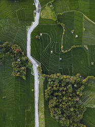 Indonesien, Bali, Luftaufnahme von Reisfeldern - KNTF01520