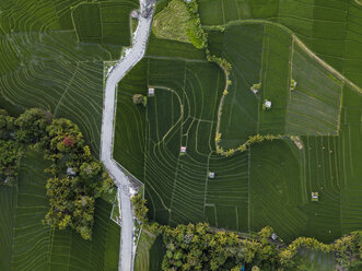 Indonesia, Bali, Aerial view of rice fields - KNTF01521