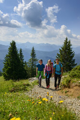 Deutschland, Bayern, Brauneck bei Lenggries, junge Freunde wandern in alpiner Landschaft - LBF02082