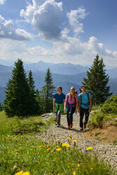 Germany, Bavaria, Brauneck near Lenggries, young friends hiking in alpine landscape - LBF02082