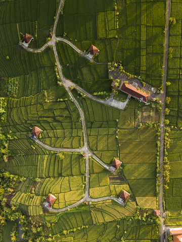 Indonesia, Bali, Kedungu, Aerial view stock photo