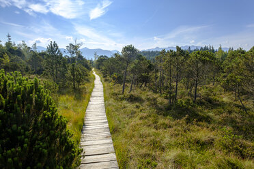 Germany, Bavaria, Murnauer Moos, Wooden plank path - LBF02099