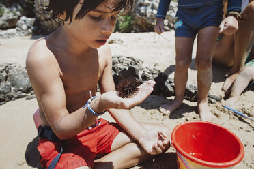 Junge sitzt am Strand und betrachtet einen Seeigel - AZOF00038