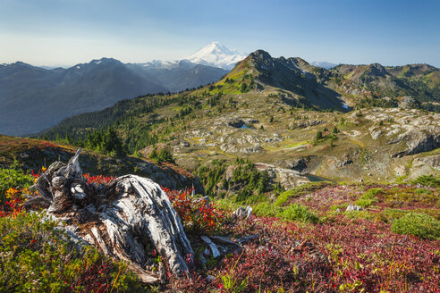 Herbst in Tomyhoi Meadows im North Cascade National Park. - AURF04853