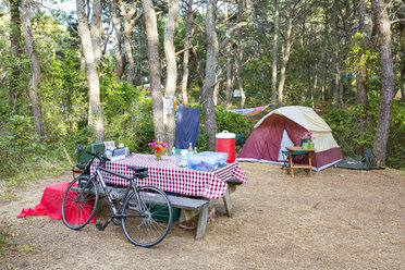 Campsite in the woods. - AURF04888