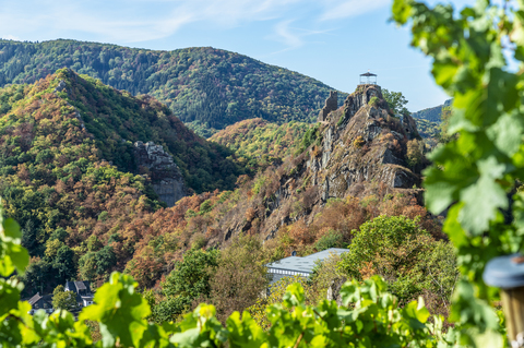 Deutschland, Rheinland-Pfalz, Altenahr, Ahrtal, Burg Are, Weinrebe im Herbst, lizenzfreies Stockfoto