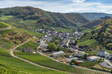 Deutschland, Rheinland-Pfalz, Ahrtal, Rotweinwanderweg, Mayschoss - FRF00727