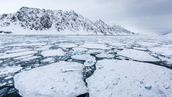 Fragmentiertes Packeis, Spitzbergen, Svalbard - AURF04979