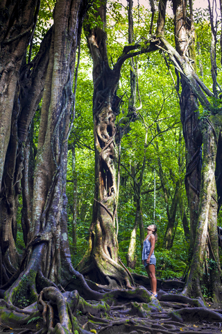 Fitness Frau unter altem Baum, lizenzfreies Stockfoto