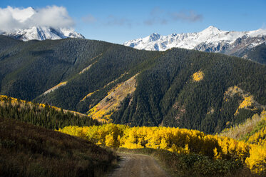 Herbstfarben in Aspen Colorado mit frischem Schneegestöber - AURF05070