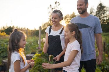 Familie lächelt bei der Ernte von Gemüse aus ihrem Garten in Fort Langley - AURF05074