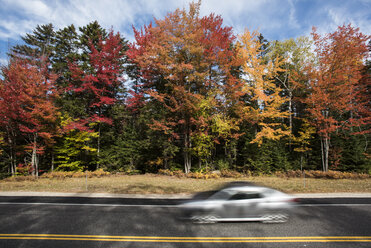 Herbstlaub entlang des Kancamagus Highway in New Hampshire - AURF05081